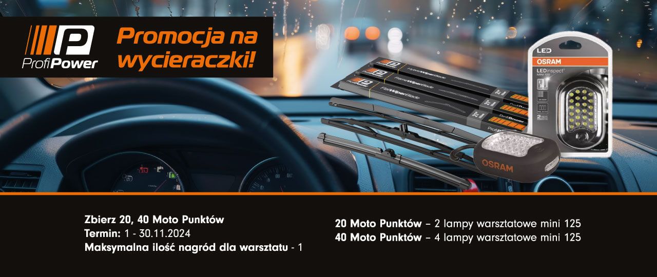 Promocja ProfiPower